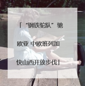 “钢铁驼队”驰欧亚 中欧班列加快山西开放步伐