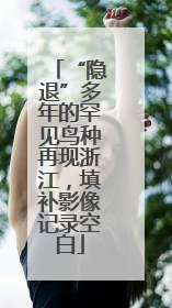 “隐退”多年的罕见鸟种再现浙江，填补影像记录空白
