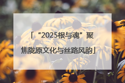 “2025根与魂”聚焦陇原文化与丝路风韵