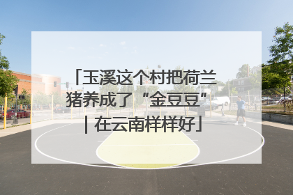 玉溪这个村把荷兰猪养成了“金豆豆”｜在云南样样好