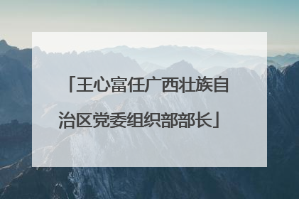 王心富任广西壮族自治区党委组织部部长