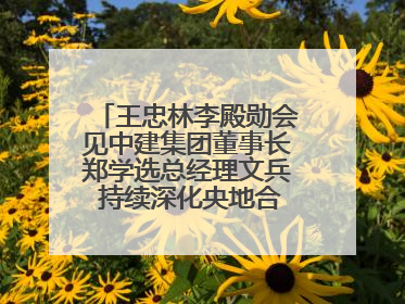 王忠林李殿勋会见中建集团董事长郑学选总经理文兵 持续深化央地合作 协力推动支点建设