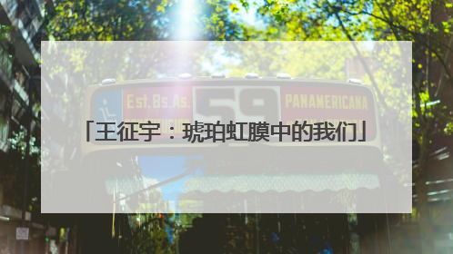王征宇：琥珀虹膜中的我们
