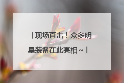现场直击！众多明星装备在此亮相～
