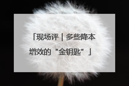 现场评｜多些降本增效的“金钥匙”