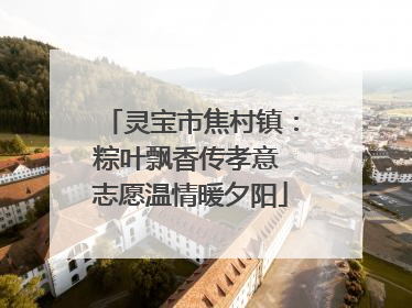 灵宝市焦村镇：粽叶飘香传孝意 志愿温情暖夕阳
