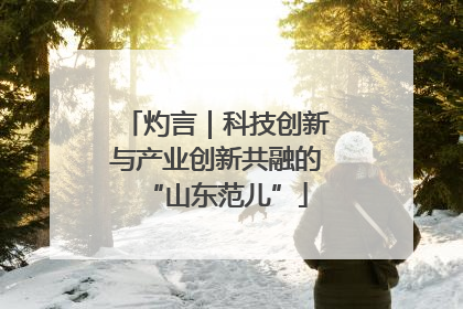 灼言｜科技创新与产业创新共融的“山东范儿”