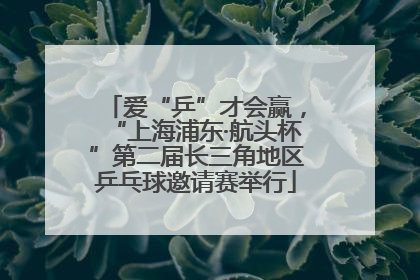 爱“乒”才会赢，“上海浦东·航头杯”第二届长三角地区乒乓球邀请赛举行