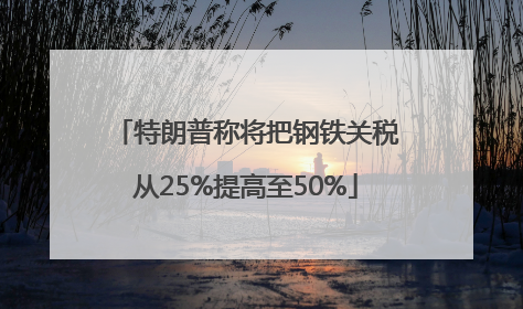 特朗普称将把钢铁关税从25%提高至50%