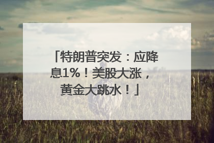 特朗普突发：应降息1%！美股大涨，黄金大跳水！