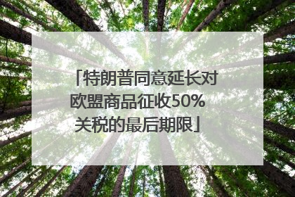 特朗普同意延长对欧盟商品征收50%关税的最后期限