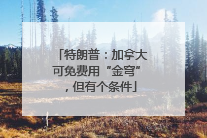 特朗普：加拿大可免费用“金穹”，但有个条件