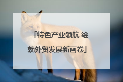 特色产业领航 绘就外贸发展新画卷