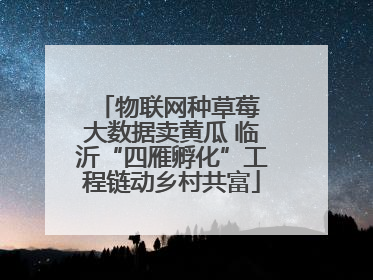 物联网种草莓 大数据卖黄瓜 临沂“四雁孵化”工程链动乡村共富