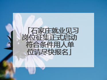 石家庄就业见习岗位征集正式启动 符合条件用人单位请尽快报名