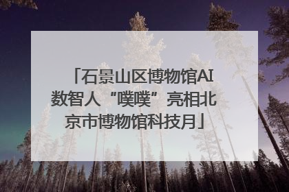 石景山区博物馆AI数智人“噗噗”亮相北京市博物馆科技月