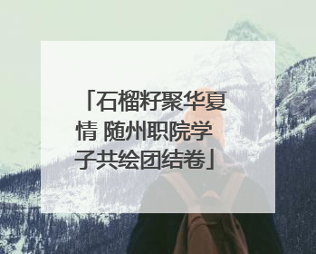 石榴籽聚华夏情 随州职院学子共绘团结卷