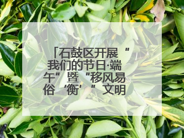 石鼓区开展“我们的节日·端午”暨“移风易俗‘衡’”文明主题实践活动