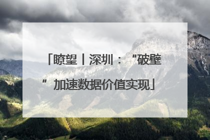 瞭望丨深圳：“破壁”加速数据价值实现