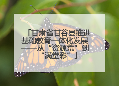 甘肃省甘谷县推进基础教育一体化发展——从“资源荒”到“满堂彩”