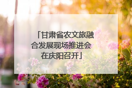 甘肃省农文旅融合发展现场推进会在庆阳召开