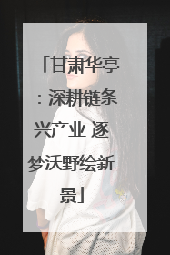 甘肃华亭：深耕链条兴产业 逐梦沃野绘新景