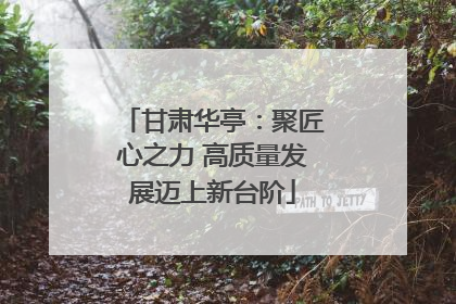 甘肃华亭：聚匠心之力 高质量发展迈上新台阶