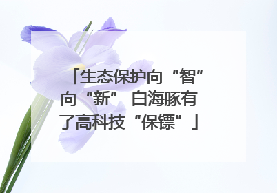 生态保护向“智”向“新” 白海豚有了高科技“保镖”