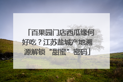 百果园门店西瓜缘何好吃？江苏盐城产地溯源解锁“甜蜜”密码
