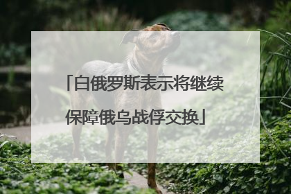 白俄罗斯表示将继续保障俄乌战俘交换