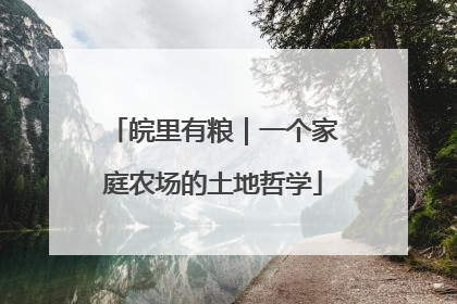 皖里有粮｜一个家庭农场的土地哲学