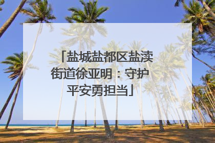 盐城盐都区盐渎街道徐亚明：守护平安勇担当