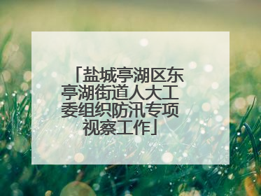 盐城亭湖区东亭湖街道人大工委组织防汛专项视察工作