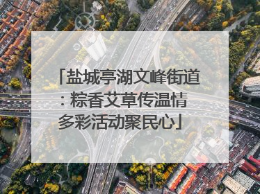 盐城亭湖文峰街道：粽香艾草传温情 多彩活动聚民心