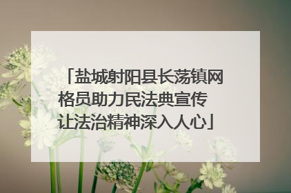盐城射阳县长荡镇网格员助力民法典宣传 让法治精神深入人心