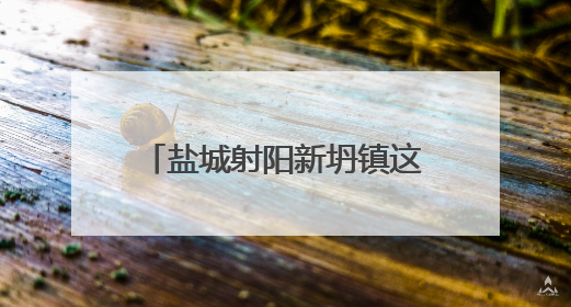 盐城射阳新坍镇这场宣讲，村民抢着听，句句说到心坎！