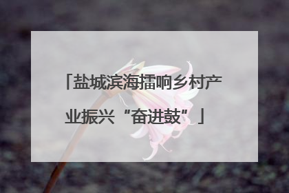 盐城滨海擂响乡村产业振兴“奋进鼓”
