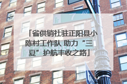 省供销社驻正阳县小陈村工作队 助力“三夏”护航丰收之路