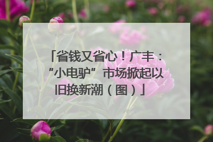 省钱又省心！广丰：“小电驴”市场掀起以旧换新潮（图）