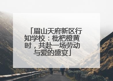 眉山天府新区行知学校：枇杷橙黄时，共赴一场劳动与爱的盛宴