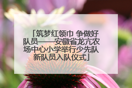 筑梦红领巾 争做好队员——安徽省龙亢农场中心小学举行少先队新队员入队仪式