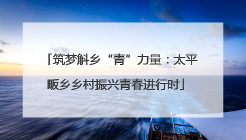 筑梦斛乡“青”力量：太平畈乡乡村振兴青春进行时