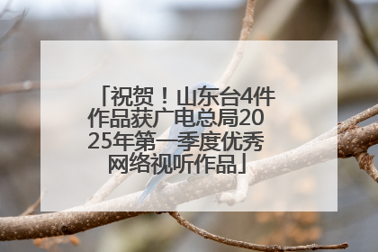 祝贺！山东台4件作品获广电总局2025年第一季度优秀网络视听作品