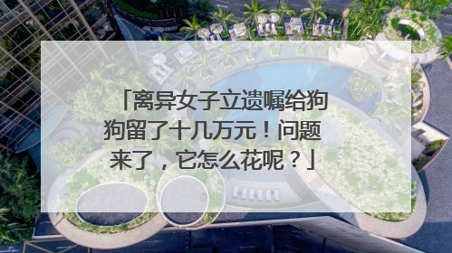 离异女子立遗嘱给狗狗留了十几万元！问题来了，它怎么花呢？