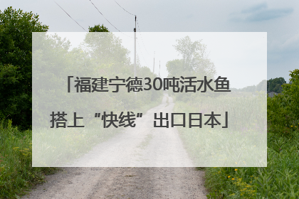 福建宁德30吨活水鱼搭上“快线”出口日本