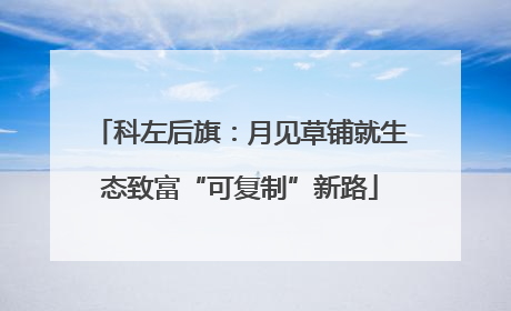 科左后旗：月见草铺就生态致富“可复制”新路