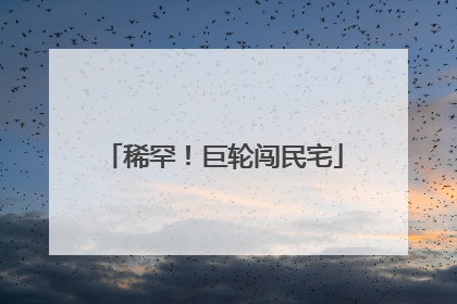 稀罕！巨轮闯民宅