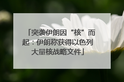 突袭伊朗因“核”而起：伊朗称获得以色列大量核战略文件
