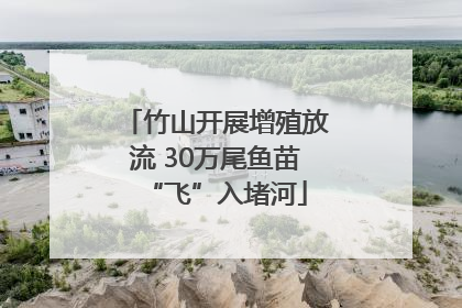 竹山开展增殖放流 30万尾鱼苗“飞”入堵河
