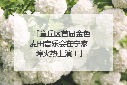 章丘区首届金色麦田音乐会在宁家埠火热上演！